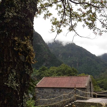 Nature Inn Madeira - Glamping Porto Moniz Extérieur photo