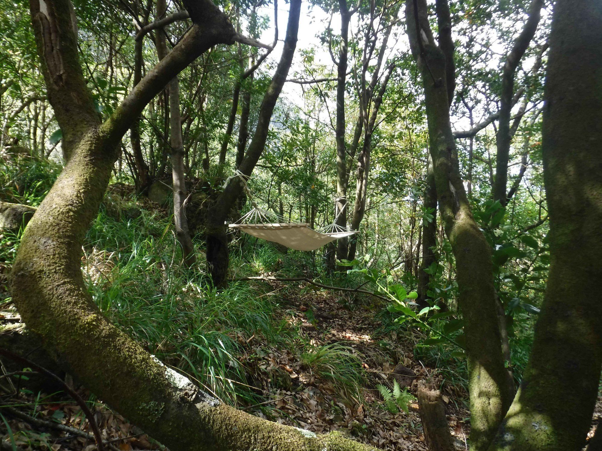 Nature Inn Madeira - Glamping Porto Moniz Extérieur photo