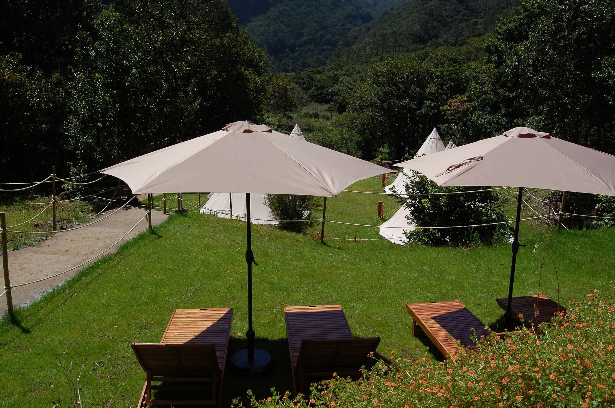 Nature Inn Madeira - Glamping Porto Moniz Extérieur photo